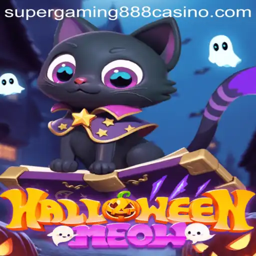 HalloweenMeow: Dive into the Spooky World of Feline Adventures